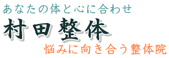 村田整体の概要